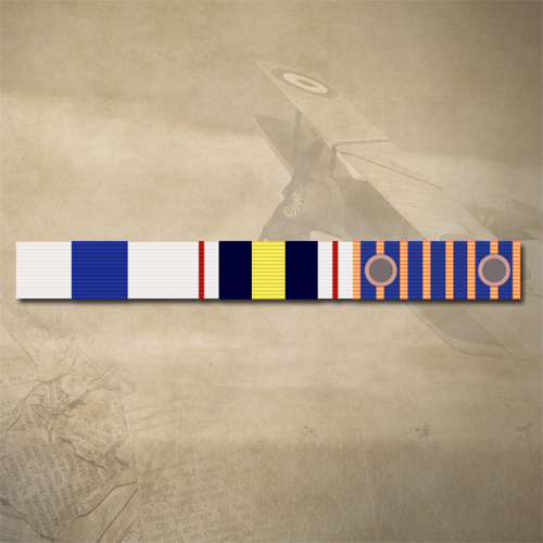 APM NPSM NATIONAL MEDAL 2 ROSETTES RIBBON BAR STICKER