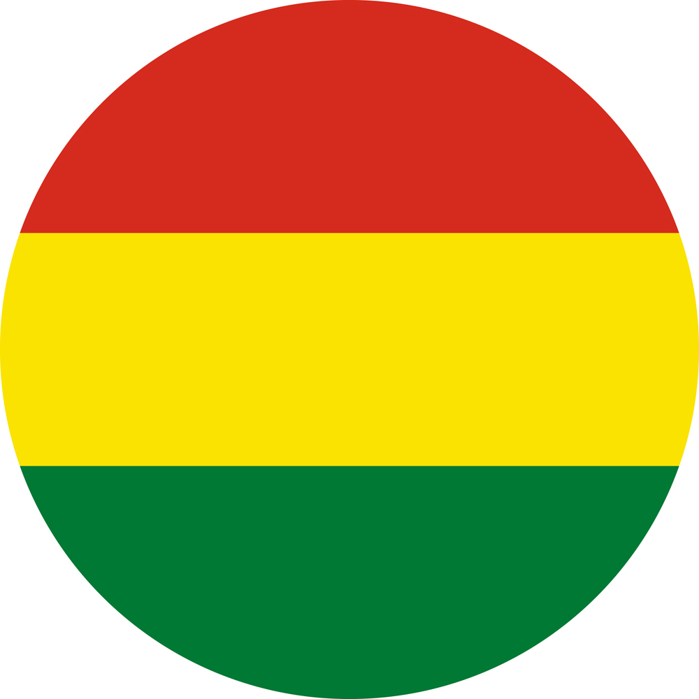 BOLIVIA COUNTRY FLAG | STICKER | DECAL | MULTIPLE STYLES TO CHOOSE FROM
