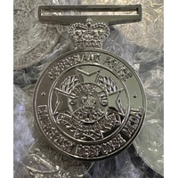 5 x QPS EMERGENCY RESPONSE MEDALS (ERM) - FULL SIZE | DEALER | BULK  | WHOLESALE